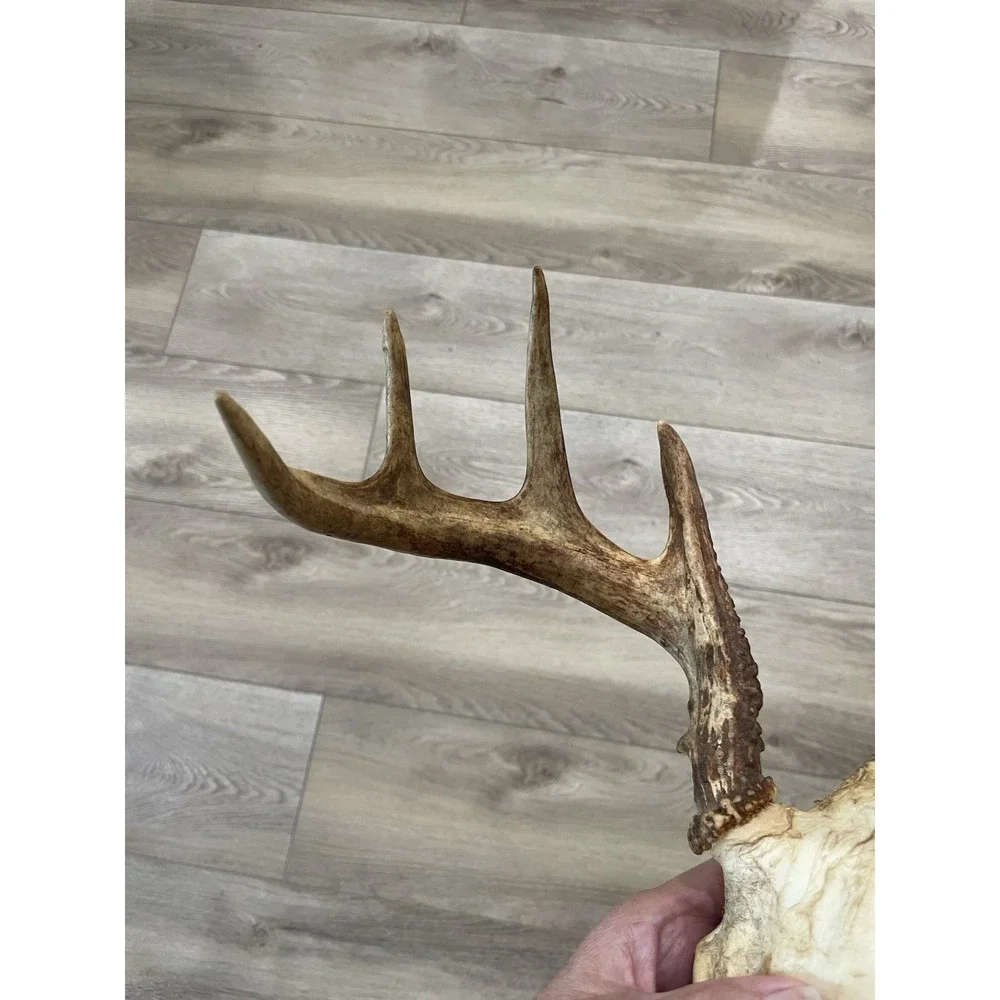 The Unbranded Brand vtg deer